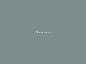 Chat endormi