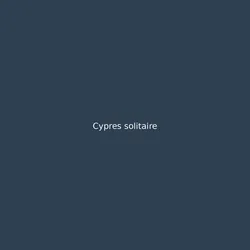 Cypres solitaire