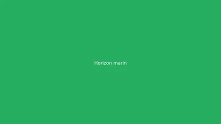 Horizon marin