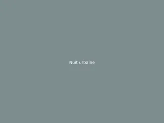 Nuit urbaine