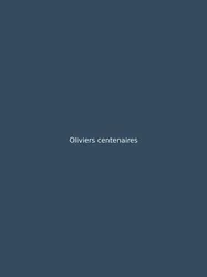 Oliviers centenaires