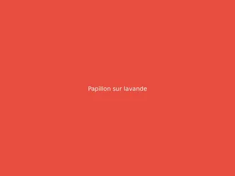 Papillon sur lavande