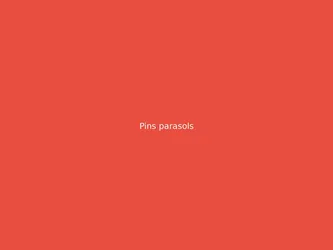 Pins parasols