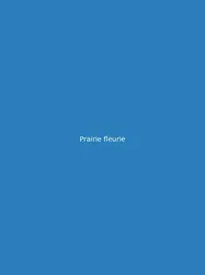 Prairie fleurie