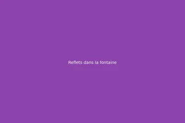 Reflets dans la fontaine