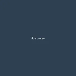 Rue pavee