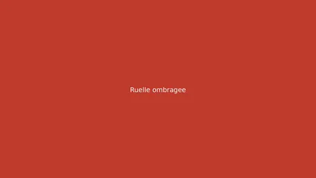 Ruelle ombragee