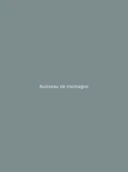 Ruisseau de montagne