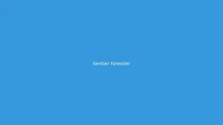 Sentier forestier