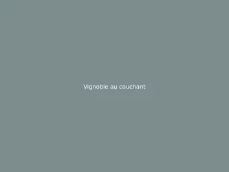 Vignoble au couchant